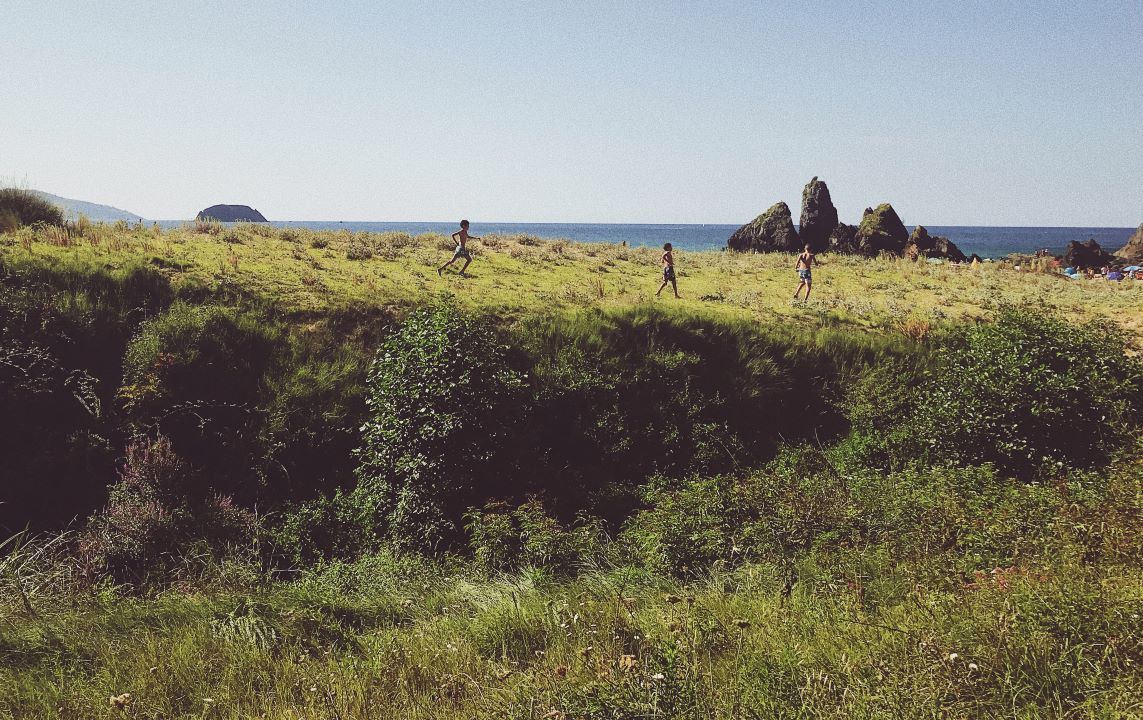niños corriendo en un campo cerca del mar